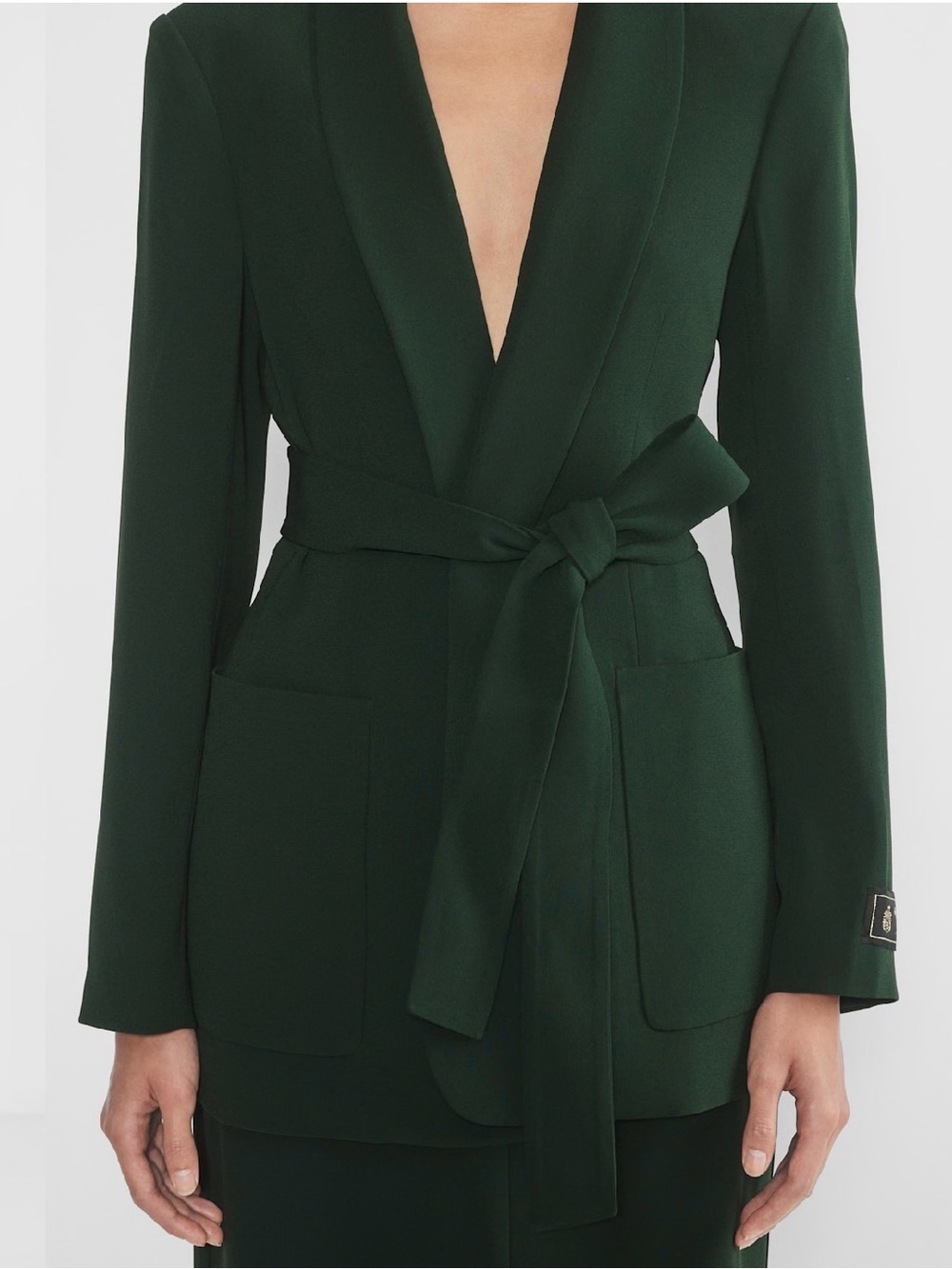 ARITZIA BABATON Executive Blazer - green - Picture 2 of 14